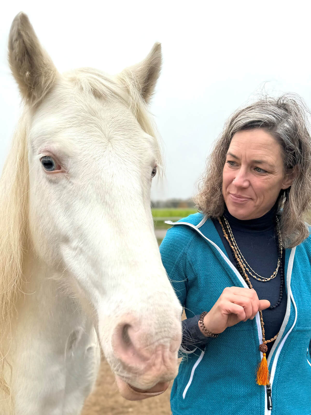 Tierheilpraxis Marit Müller-Haibt
